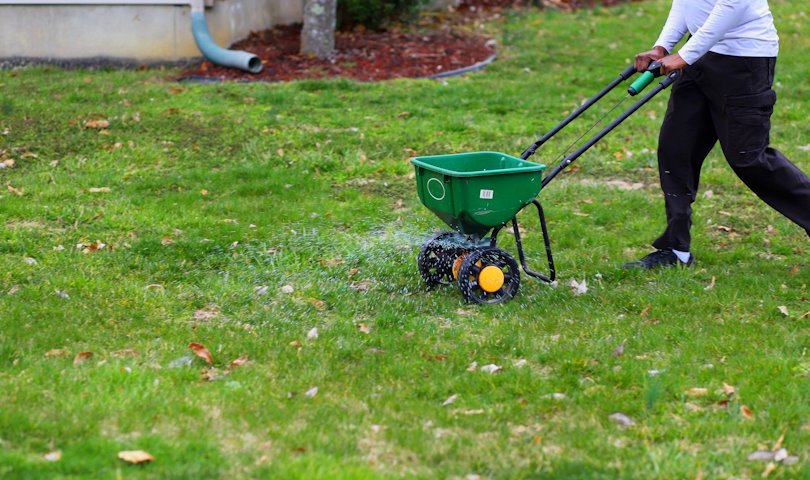Spring Lawn Care Checklist: 12 Essential Steps for a Healthy, Green Lawn