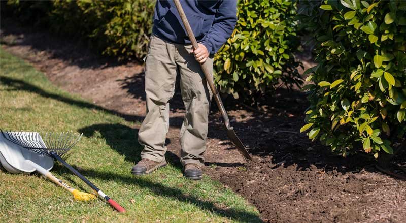 Fall Lawn Care Checklist: Prepare Your Lawn for a Healthy Winter and a Greener Spring